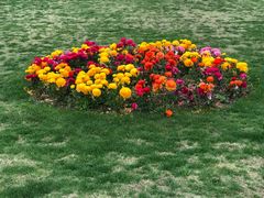 -上海市龙华烈士陵园