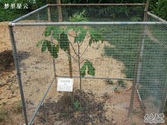 -广州神农草堂中医药博物馆