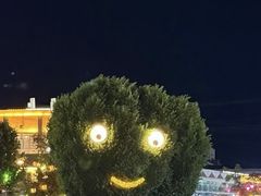 -特克斯八卦城
