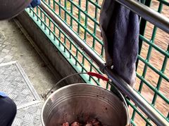 -深圳野生动物园