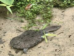 -火炉山森林公园