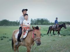 -塞罕坝国家级自然保护区