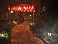 -天目湖涵田半山温泉