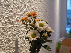 -Cafe on warm(丹霞店)