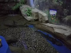 -石林冰雪海洋世界