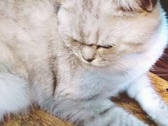 -不舍昼夜咖啡馆