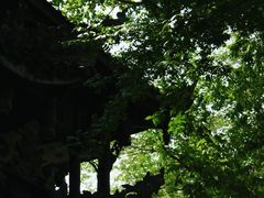 -黄龙溪古镇