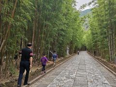 -蝴蝶泉公园