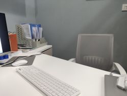 -菩叶脱发白发中心