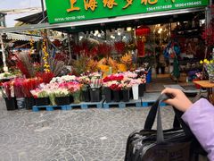 -曲阳花鸟市场(曲阳路店)
