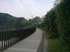 -王借岗森林公园