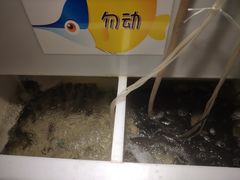 -小小河边鱼(天润城店)