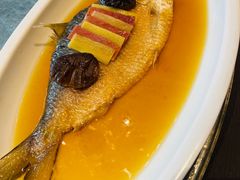 老酒蒸鲥鱼-望乡楼上海菜(日月光店)