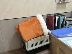 -半岛宠物医院24小时(西派城店)
