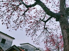 -伦教678文化街
