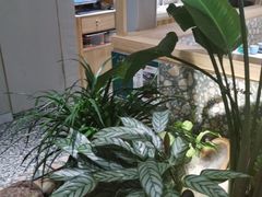 -相遇·川湘融合菜(丹阳吾悦广场店)
