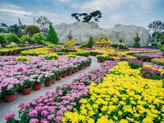 -南通洲际绿博园