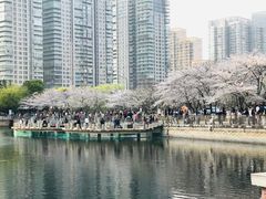 -西北湖绿化广场