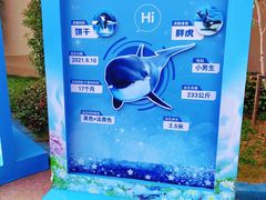 -上海海昌海洋公园