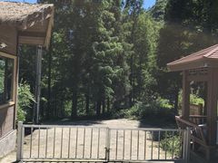 -东天目山风景区