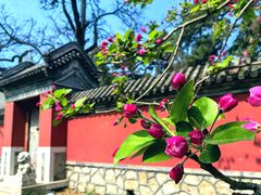 -国家植物园
