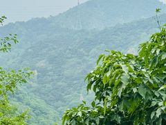 -鹫峰国家森林公园