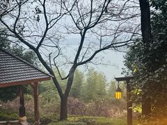 -天目湖涵田半山温泉