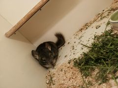 -龙猫仔乐园(惠福东路店)