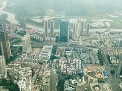 景观位-瑞吉酒店·The Drawing Room闲逸廊·云端下午茶·夜奢Whiskey
