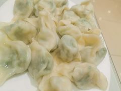 -陶然饺子城(奥体中路店)