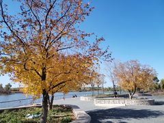 -东郊湿地公园