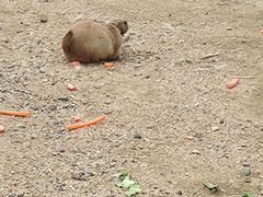 -祥源·阜阳生态乐园