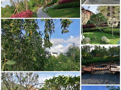 -江门古兜温泉小镇