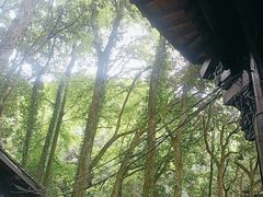 -富春桃源风景区