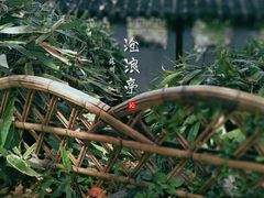 -虎丘山风景名胜区