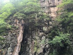 -茅兰沟国家森林公园