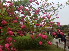 -贵阳市花溪国家城市湿地公园