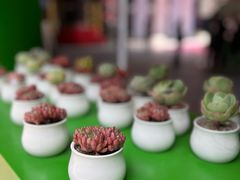 -砂之船奥莱(南京江宁店)