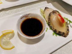 -丁老爷子苏香圆