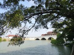 -大湾区中央湿地公园