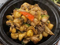 沙姜鸡煲-月坛宾馆-聚仙楼餐厅