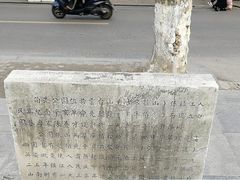 -伯先公园