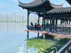 -莫愁湖公园