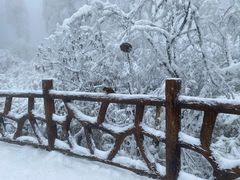 -瓦屋山景区