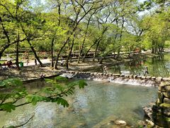 -鹿亭中村