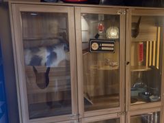 -白兔子密室(长寿路店)