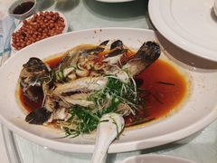 -大东海海鲜酒楼(渔人码头总店)