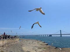 -星海广场