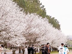 -同济大学(嘉定校区)