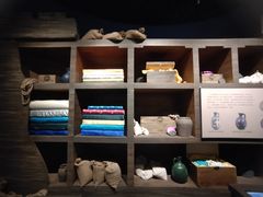 -广西壮族自治区博物馆